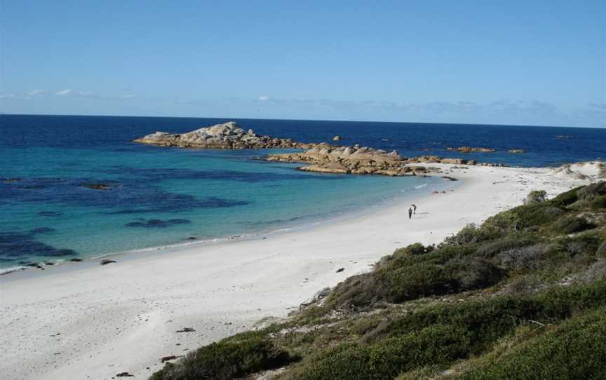 Mt William National Park, Mount William, TAS