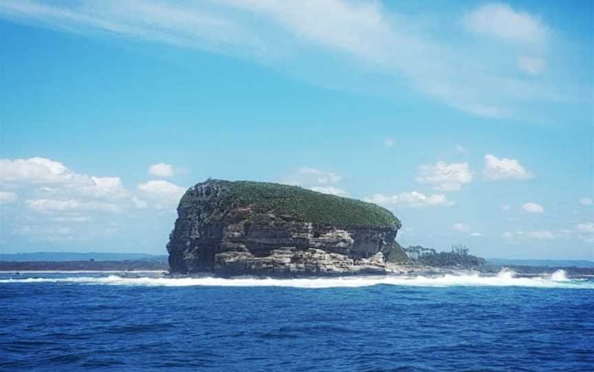 Mudjimba (Old Woman) Island Dive Site, Heron Island, QLD