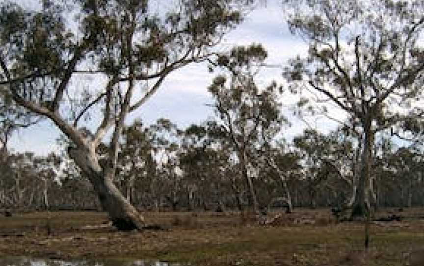 Murchison Rail Trail, Murchison, VIC