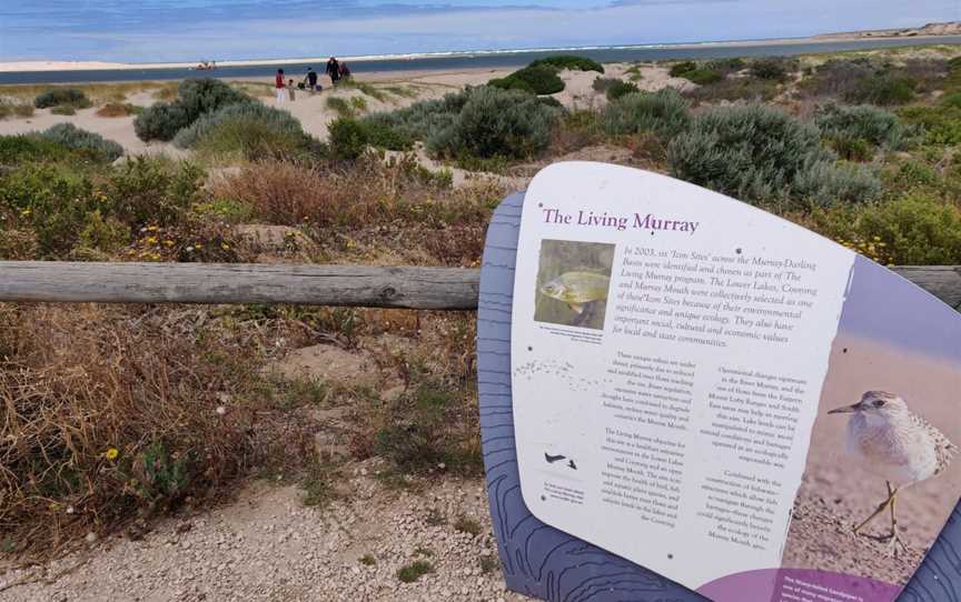 Murray Mouth Lookout, Hindmarsh Island, SA