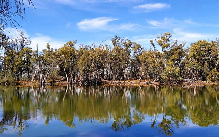 Murray River National Park - Katarapko, Glossop, SA