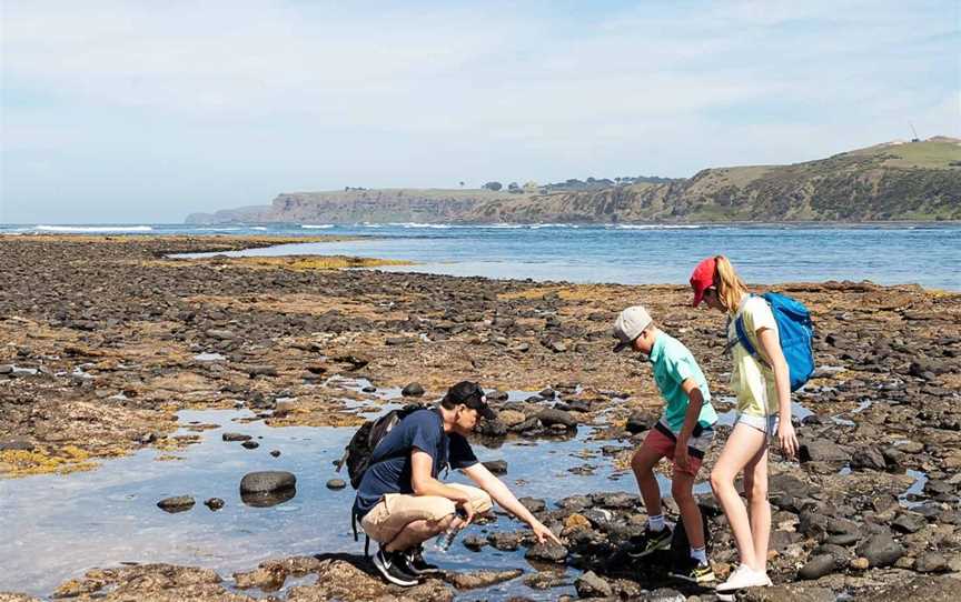 Mushroom Reef Beach, Flinders, VIC