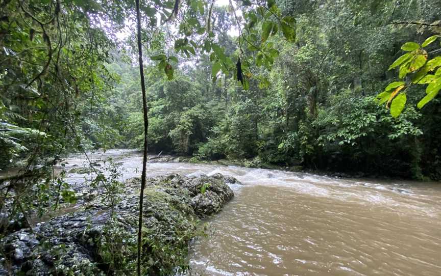 Nandroya Falls, Wooroonooran, QLD