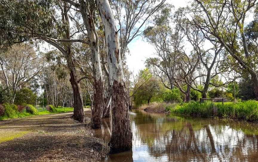 Naracoorte Creek walk, Naracoorte, SA