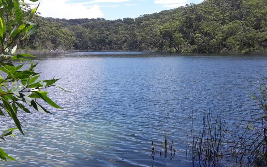 Naree Budjong Djara National Park, North Stradbroke Island, QLD