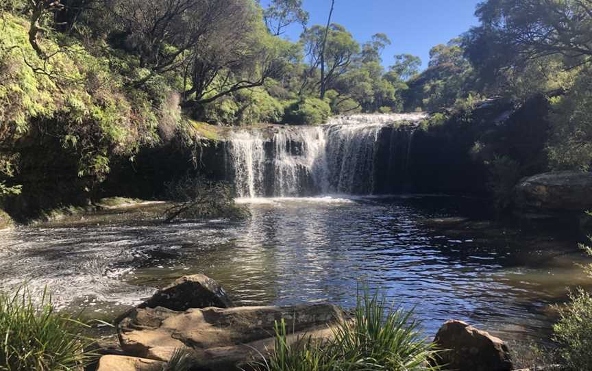 Nellies Glen picnic area, Robertson, NSW