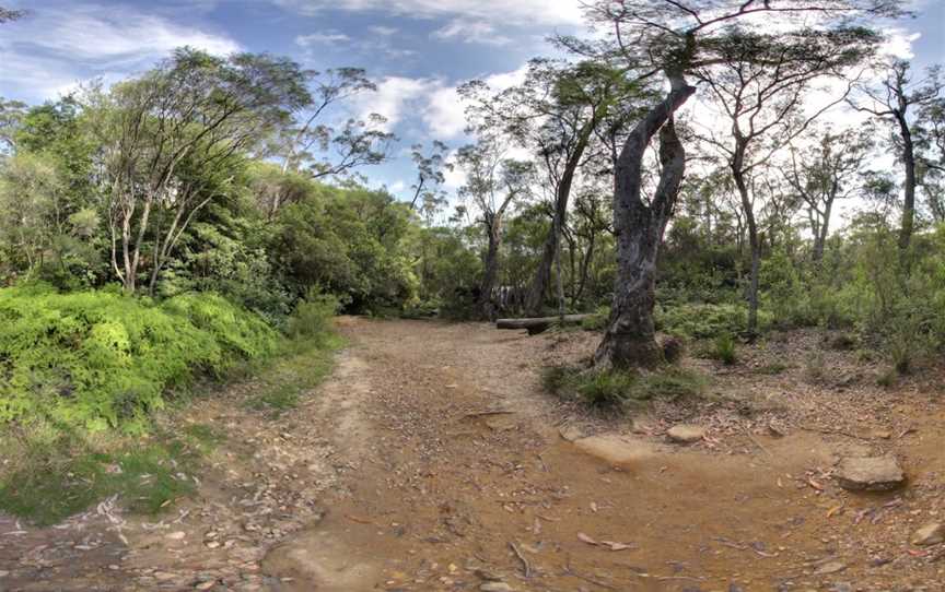 Nellies Glen picnic area, Robertson, NSW