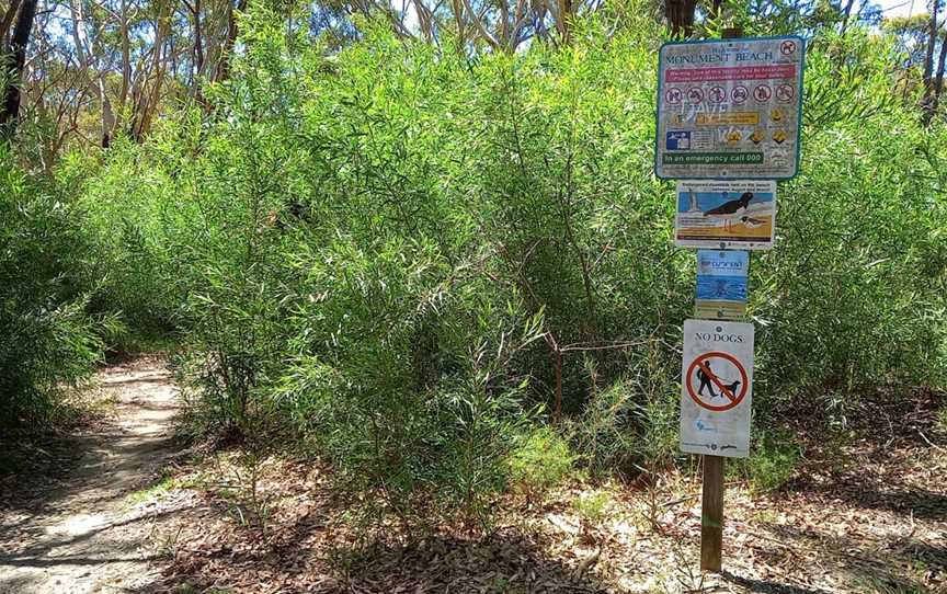 Nerindillah Lagoon walking track, Bendalong, NSW