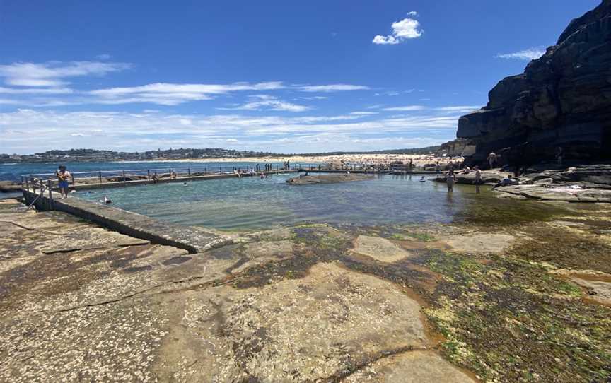 North Curl Curl Ocean Rockpool, North Curl Curl, NSW