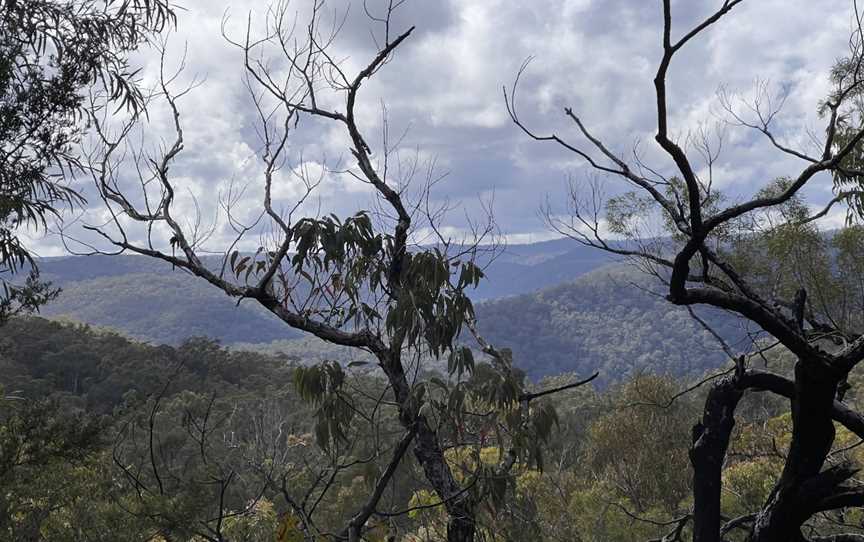 Old Great North Road Bike Ride, St Albans, NSW