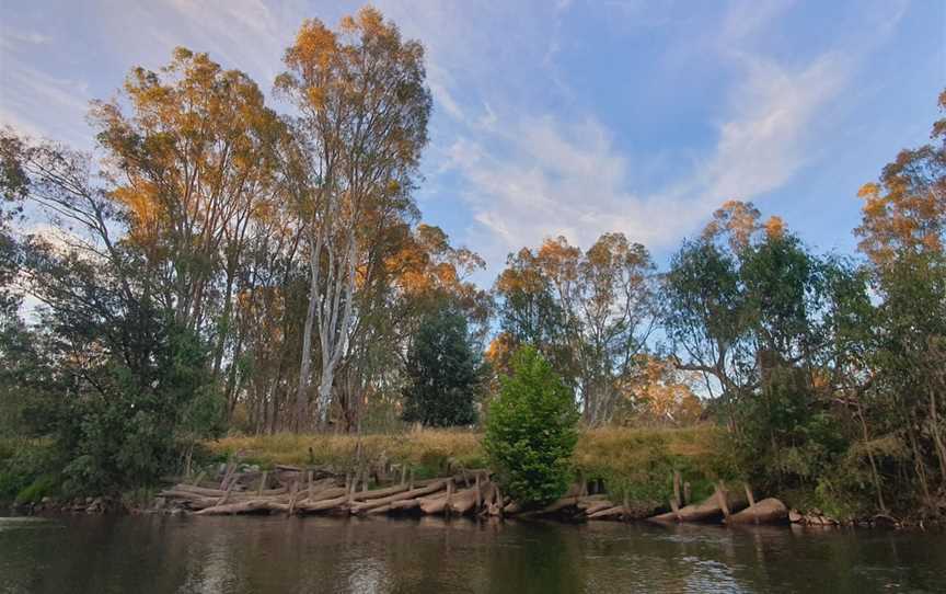 Ovens Billabong, Wangaratta, VIC