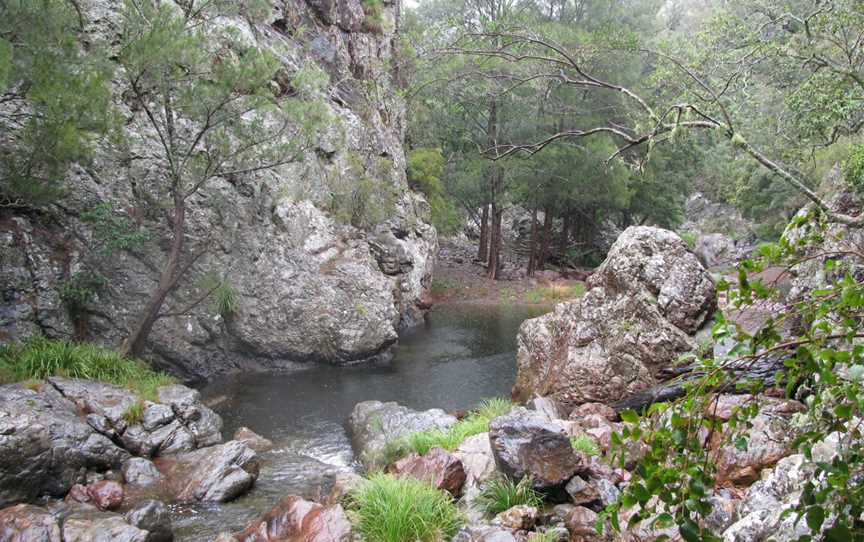 Oxley Wild Rivers National Park, Yarrowitch, NSW