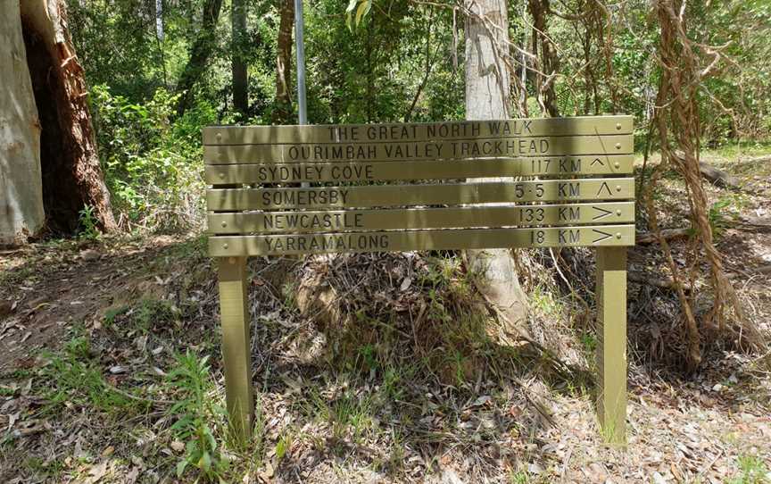 Palm Grove Nature Reserve, Somersby, NSW