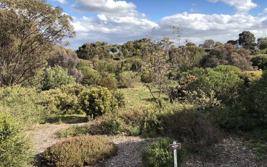 Pangarinda Botanic Gardens, Wellington East, SA