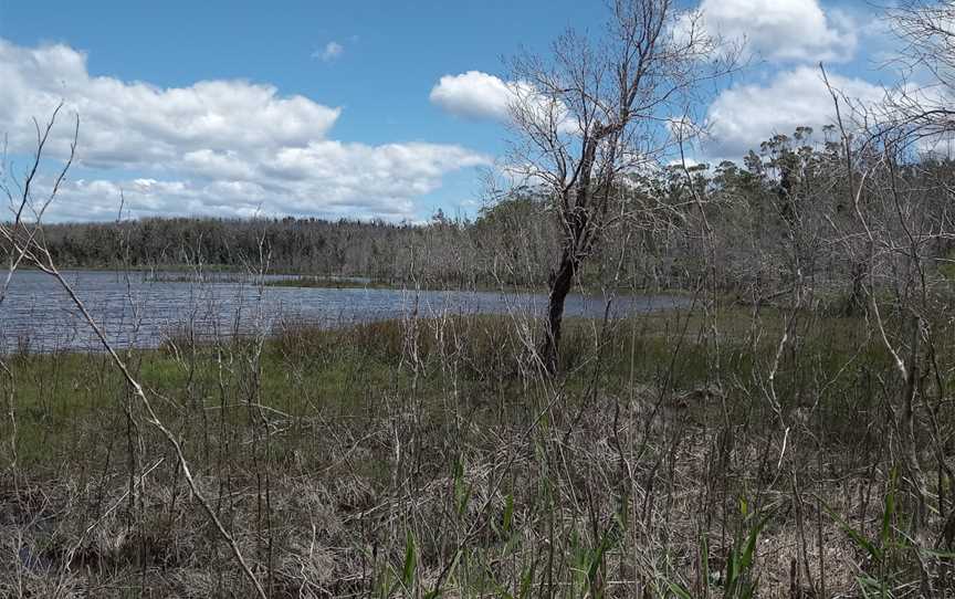 Pattimores Lagoon, Lake Conjola, NSW