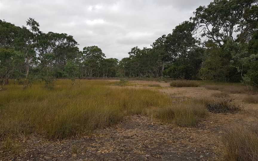 Penola Conservation Park, Penola, SA