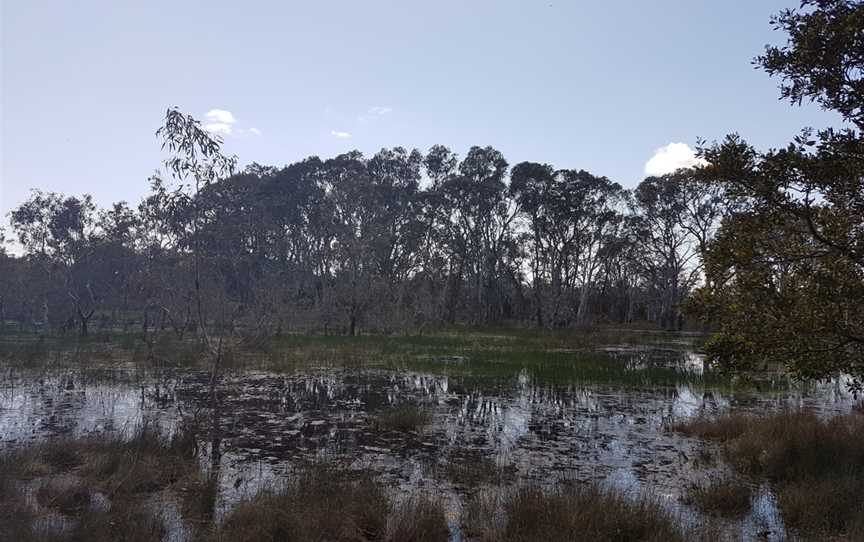 Penola Conservation Park, Penola, SA