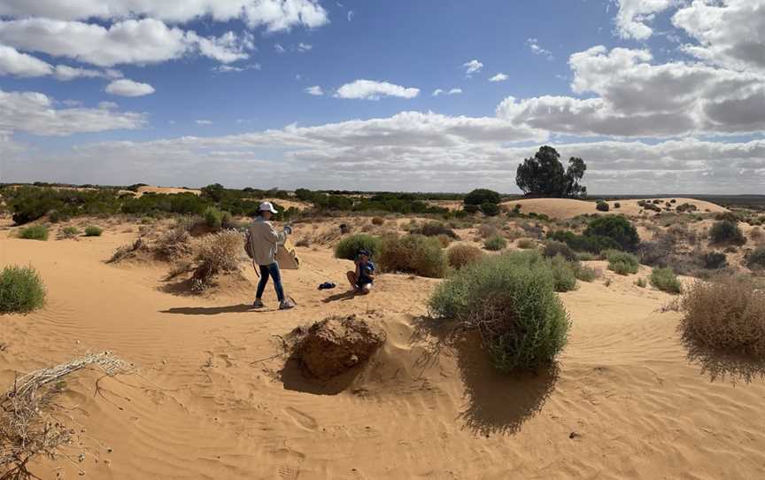 Perry Sand Hills, Wentworth, NSW