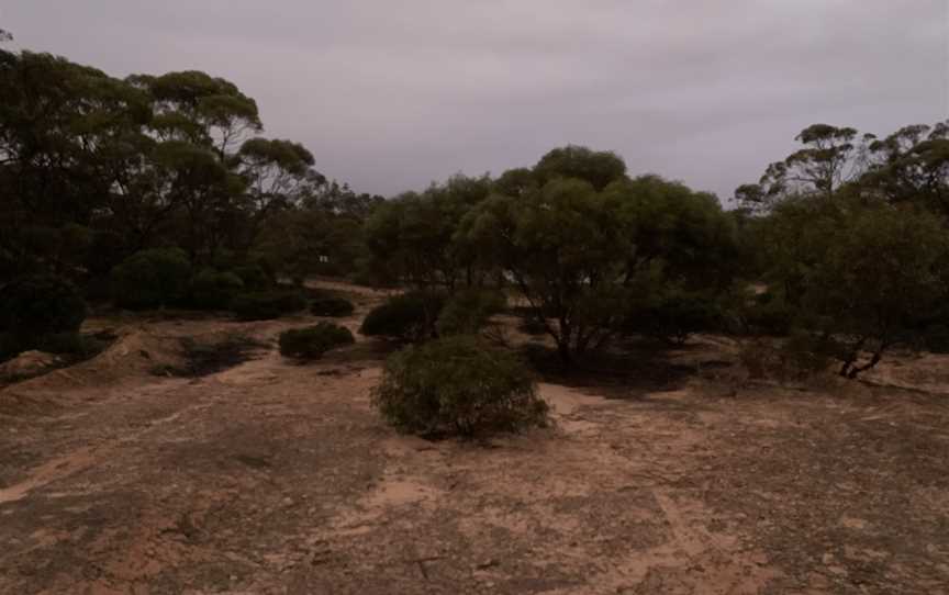 Polda Rock Reserve, Wudinna, SA