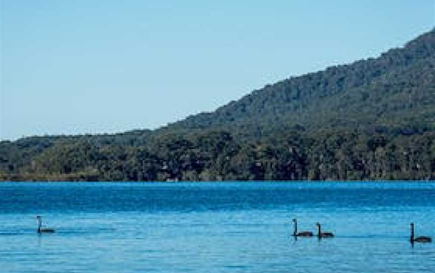 Queens Lake picnic area, Jolly Nose, NSW