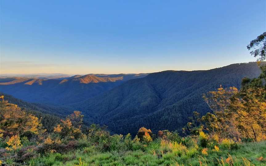 Raspberry Lookout, Gibraltar Range, NSW