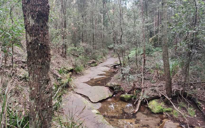 Red Hands Cave, Blue Mountains National Park, NSW