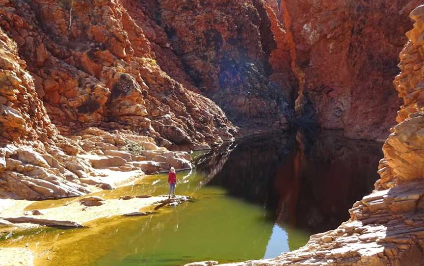 Redbank Gorge, Mount Zeil, NT