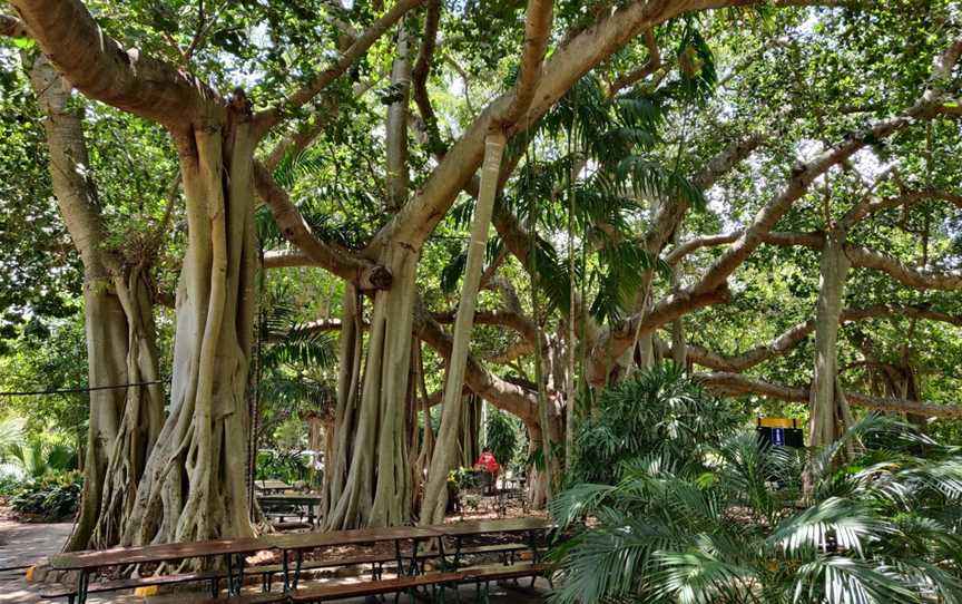 Rockhampton Botanic Gardens, West Rockhampton, QLD