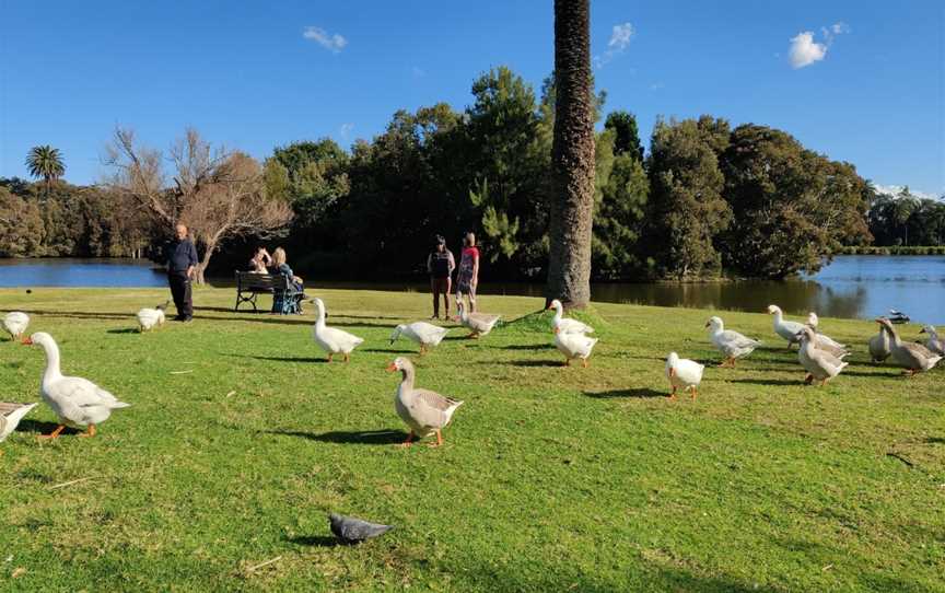 Rose Garden, Centennial Park, NSW