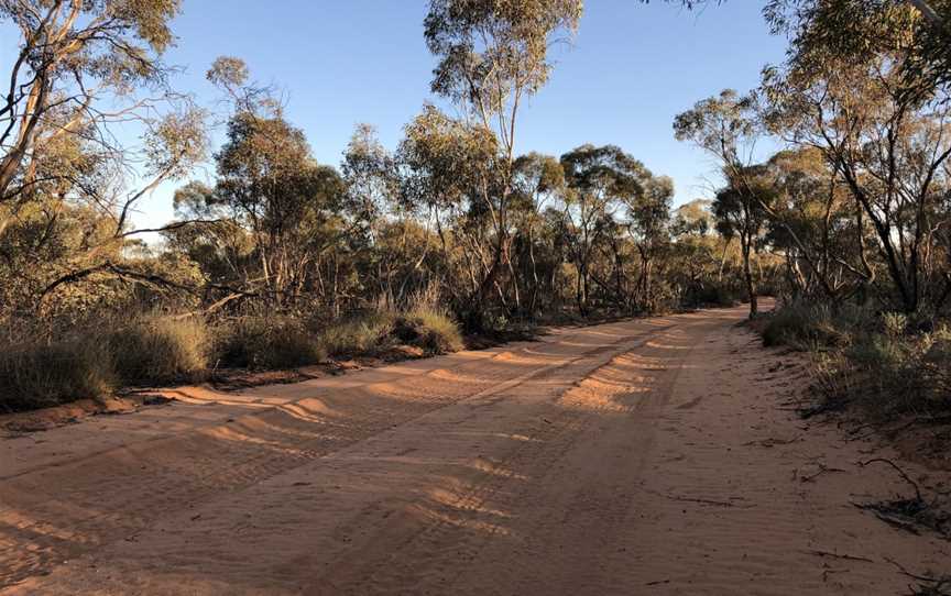 Round Tank picnic area, Mungo, NSW