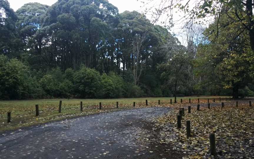 Sanatorium Picnic Ground, Mount Macedon, VIC