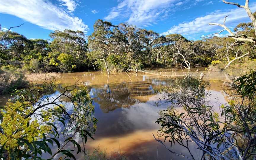 Scott Conservation Park, Currency Creek, SA