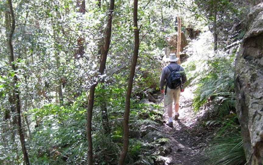 She-Oak Crossing Walk, North Nowra, NSW