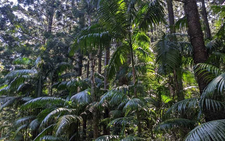 Somerset Trail, Mount Byron, QLD