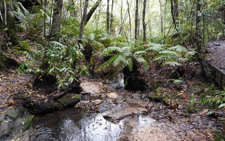 South Lawson Waterfall Circuit, Lawson, NSW