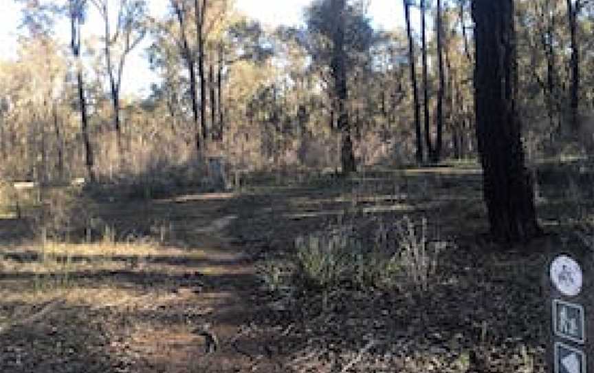 Springtime Flower Walking Track, Wangaratta South, VIC