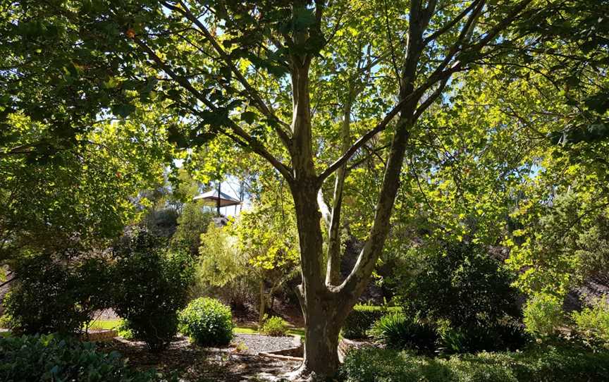 Stockade Botanical Park, Northfield, SA