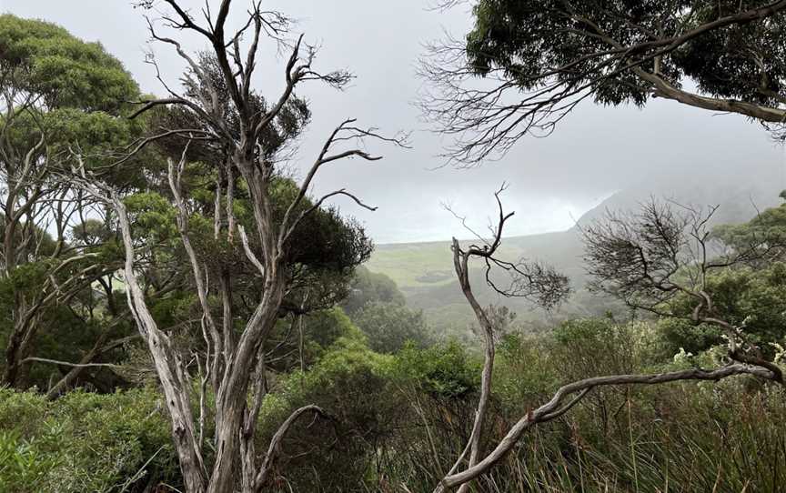 Strzelecki National Park, Strzelecki, TAS