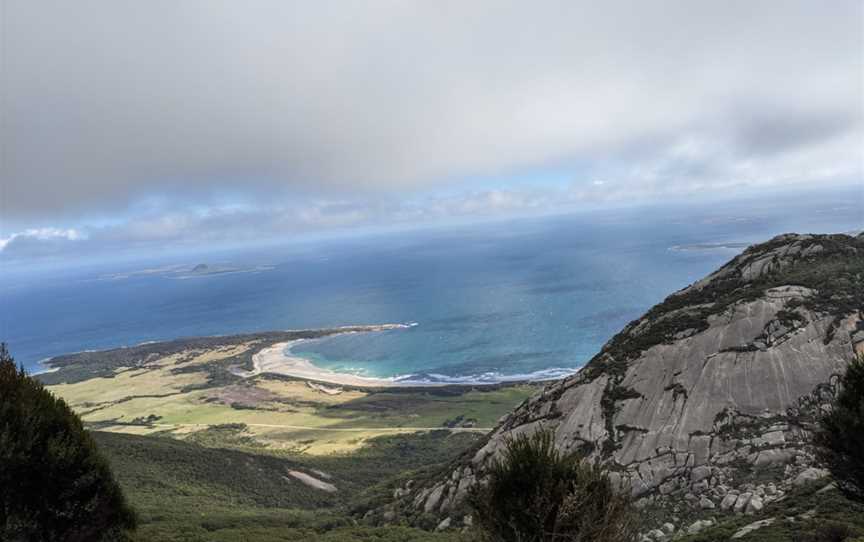 Strzelecki Peaks Great Short Walk, Strzelecki, TAS