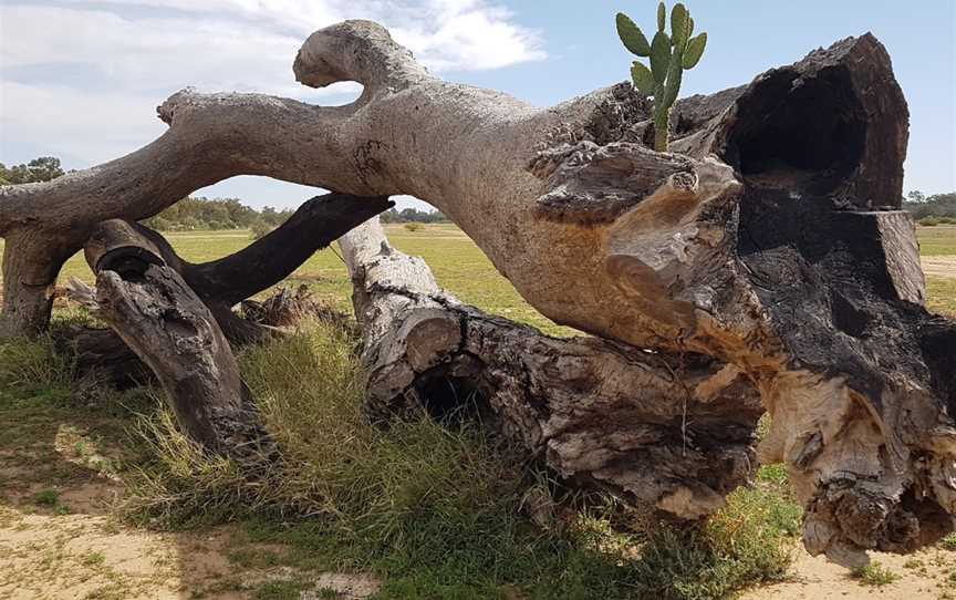 Stubby Bend, Tambo, QLD