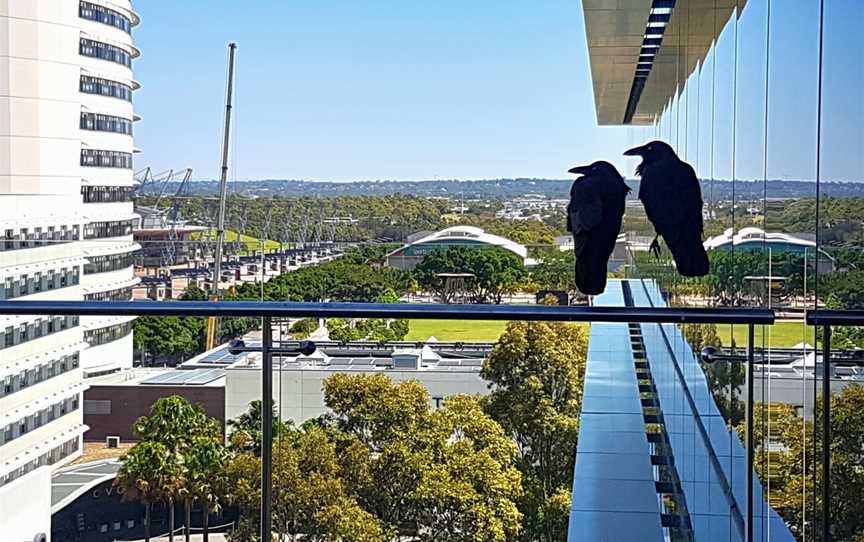 Sydney Olympic Park, Sydney Olympic Park, NSW