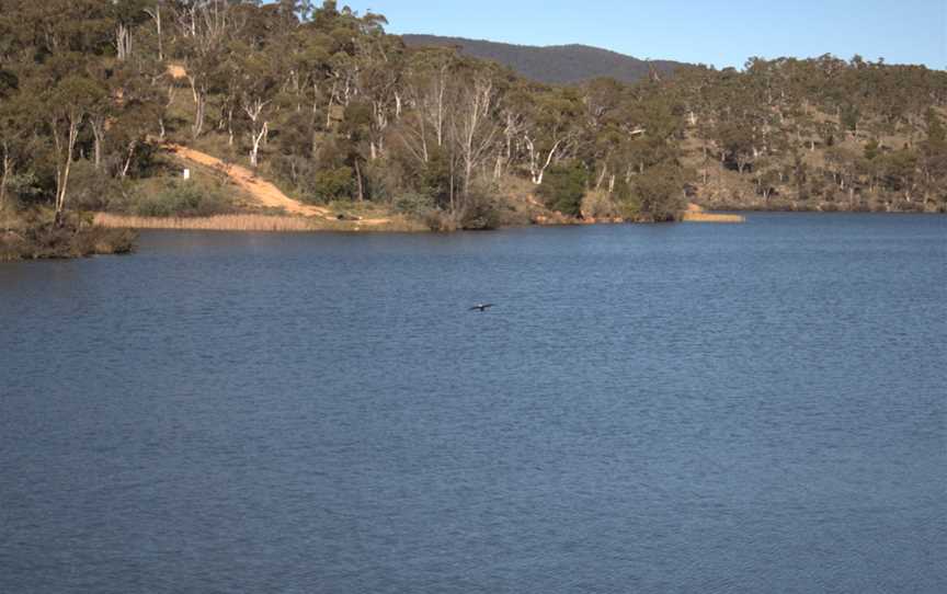 Tallaganda National Park, New South Wales, Australia, Palerang, NSW