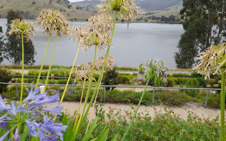 Tallangatta to Old Tallangatta Stroll, Tallangatta, VIC