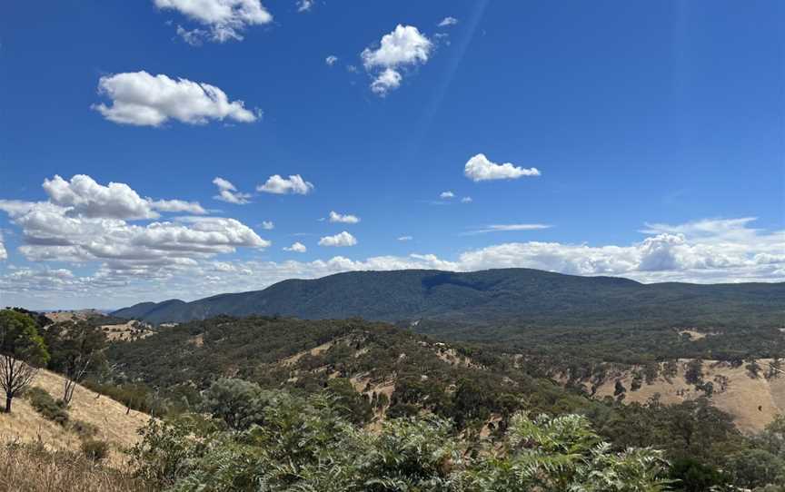 Tallarook State Forest, Tallarook, VIC