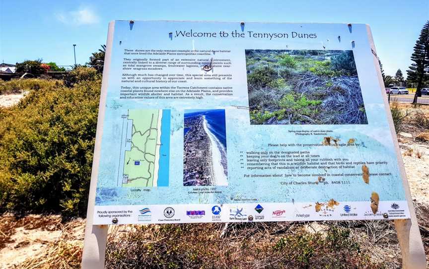 Tennyson Dunes, Tennyson, NSW