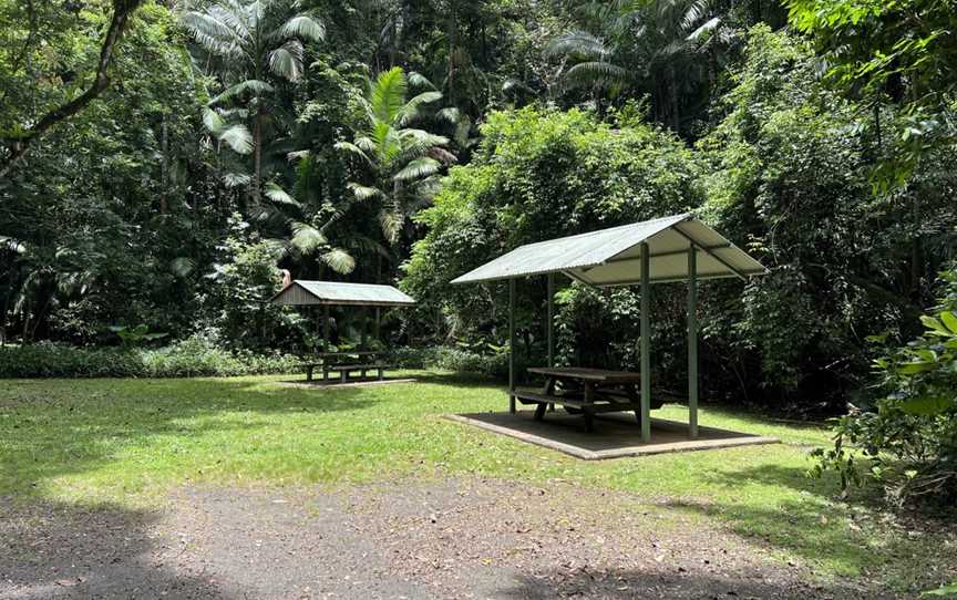 Terania Creek picnic area, Nightcap, NSW