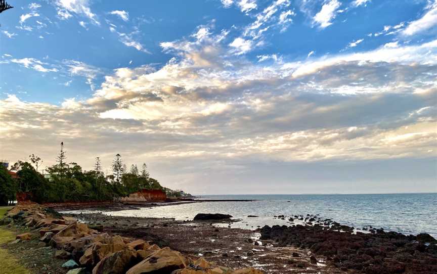 The Gollum Tree, Redcliffe, QLD