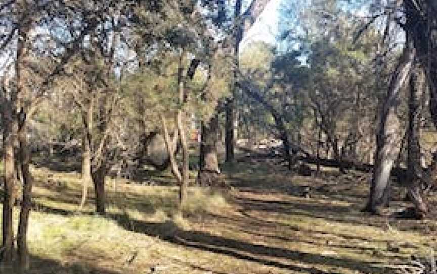 The Hamilton Bandicoot Wildlife Walk, Hamilton, VIC