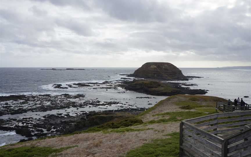 The Nobbies, Phillip Island, VIC