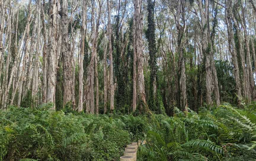 The Paperbark Trail, Agnes Water, QLD